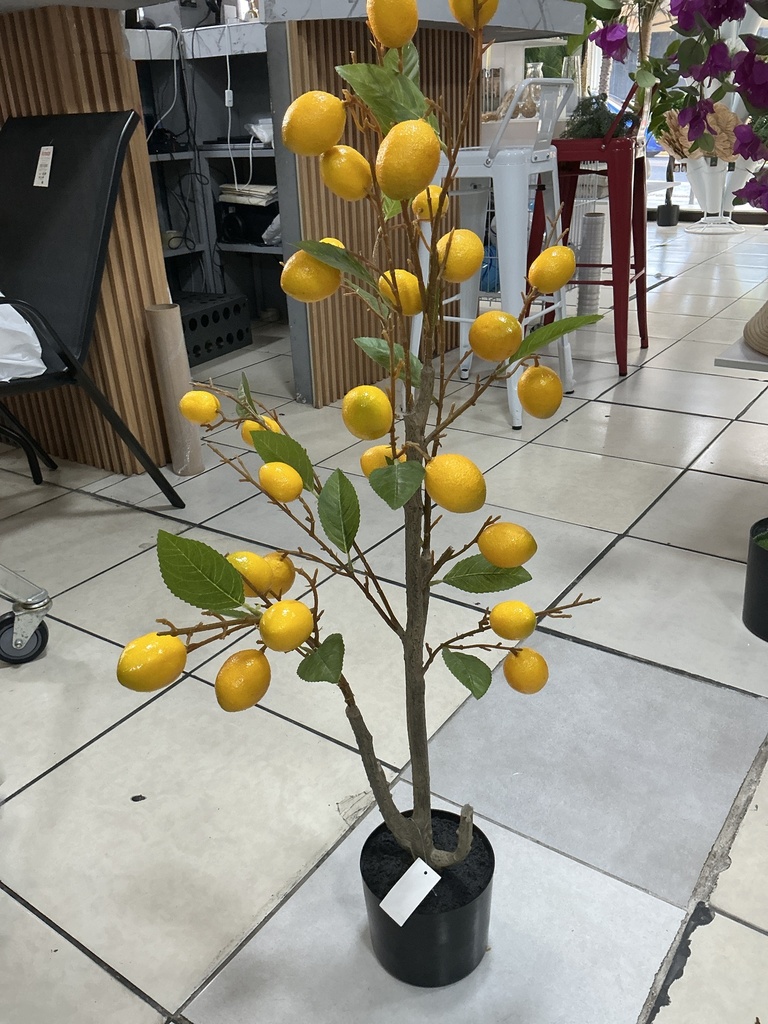 ARBOL DE LIMON 100 cm