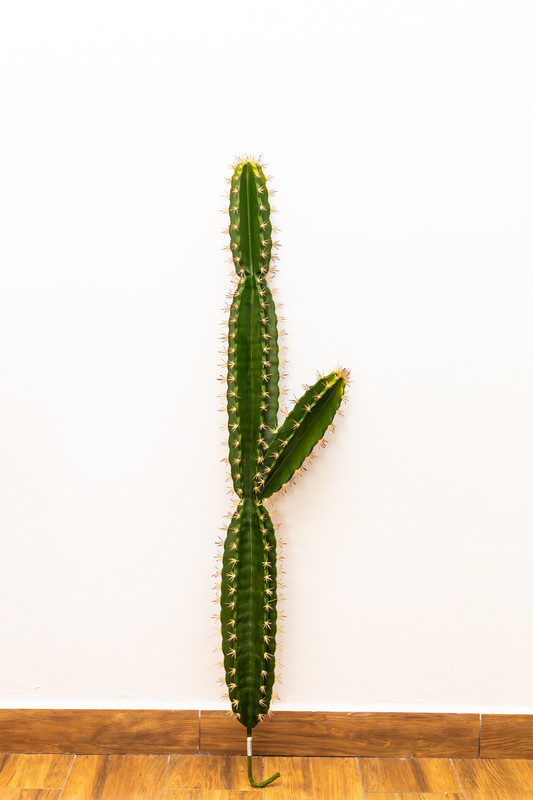 PLANTA ARTIFICIAL, 1.20 MTS, CACTUS VERDE