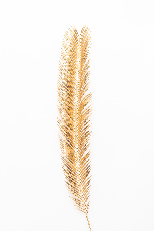 HOJA DE PALMERA DATILERA DORADA