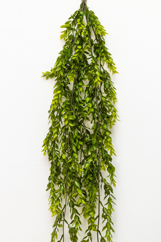 RAMO DE HOJAS VERDES, FOLLAJE ARTIFICIAL, 1.00 MT, DISCHIDIA HOJA PEQUEÑA