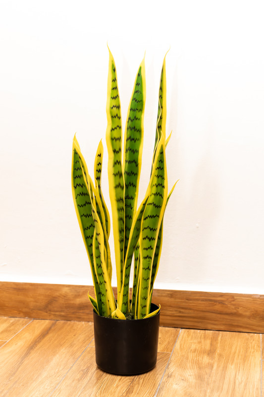 PLANTA ARTIFICIAL, 70 CM, SANSEVIERIA VERDE CLARO PEQUEÑA