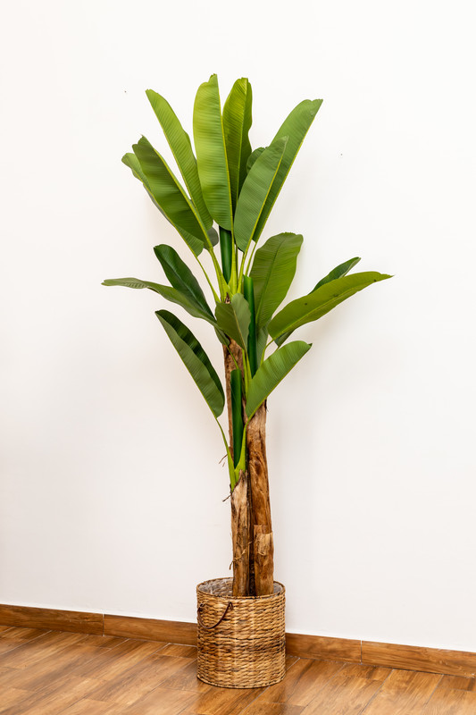 PLANTA ARTIFICIAL, 2.40 MTS, PALMERA