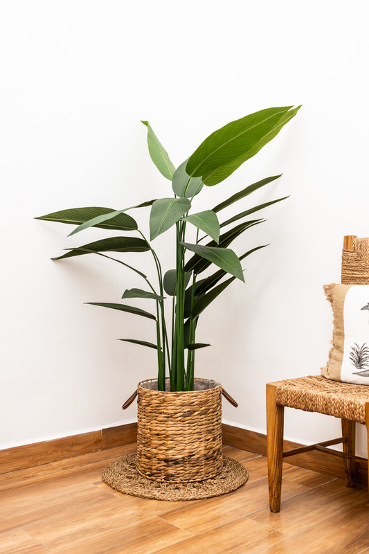 PLANTA ARTIFICIAL, 1.80 MTS, ESTILO THALIA REVENALA