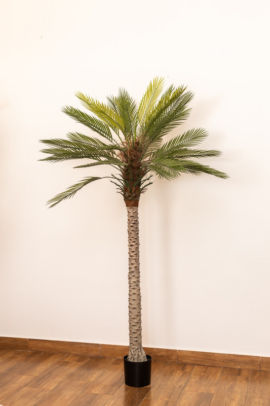 PLANTA ARTIFICIAL, 2 MTS, PALMERA DATILERA