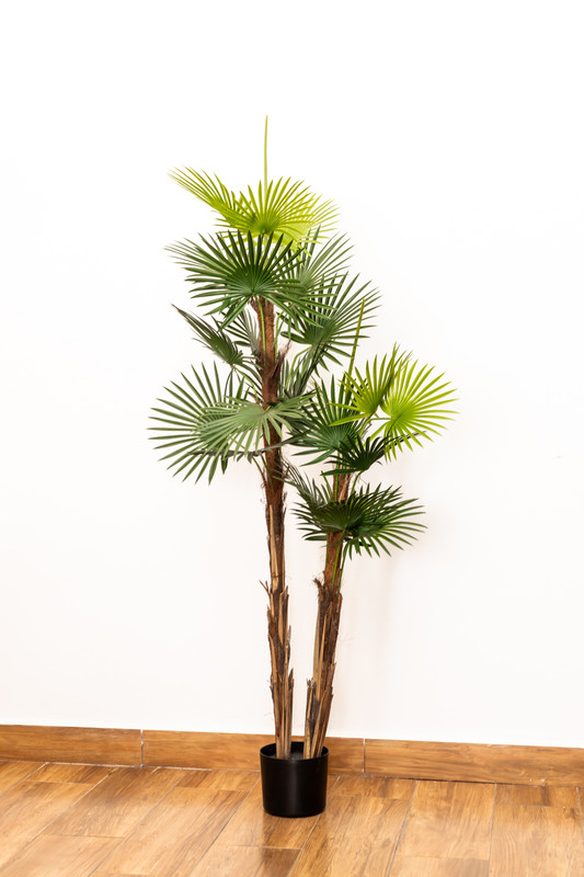 PLANTA ARTIFICIAL, 1.60 MTS, ABANICO CHINO
