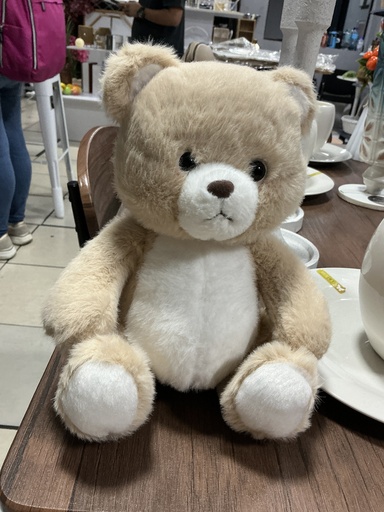[IV-1034] OSITOS DE PELUCHES *22CM SURTIDOS X2