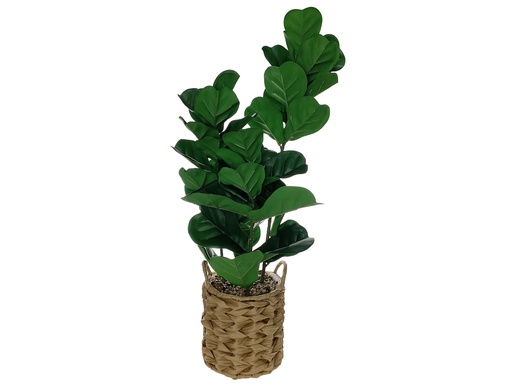 [IV-1703] PLANTA ARTIFICIAL  60CM