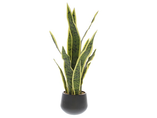 [IV-1704] PLANTA ARTIFICIAL  50CM