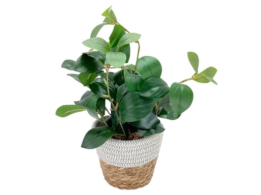 [IV-1708] PLANTA ARTIFICIAL 43X15CM