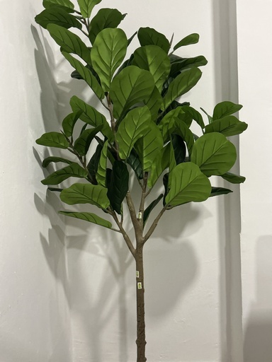 [IV-1823] FICUS ARTIFICIAL BASE NEGRA
