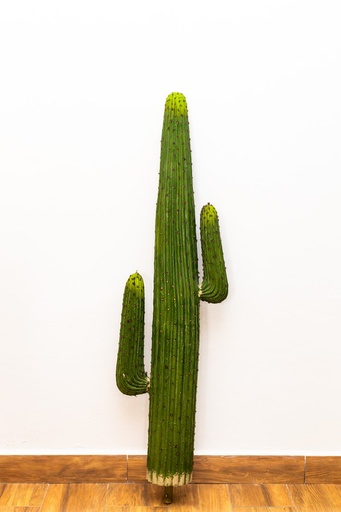 [IV-0006] PLANTA ARTIFICIAL, 1.58 MTS, CACTUS VERDE