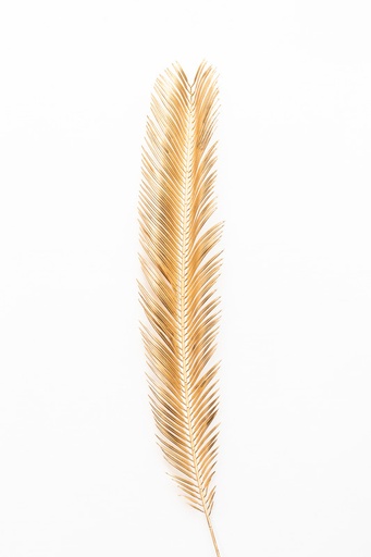 [IV-0012] HOJA DE PALMERA DATILERA DORADA