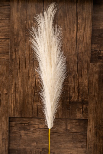 [IV-0018-D] PLUMA ARTIFICIAL,  90 CM, COLOR CREMA