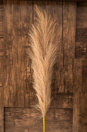 [IV-0018-E] PLUMA ARTIFICIAL,  90 CM, COLOR CAFÉ