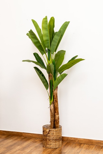 [IV-0073] PLANTA ARTIFICIAL, 2.40 MTS, PALMERA