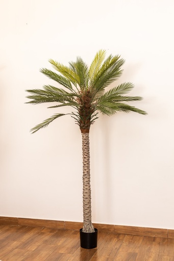 [IV-0099] PLANTA ARTIFICIAL, 2 MTS, PALMERA DATILERA