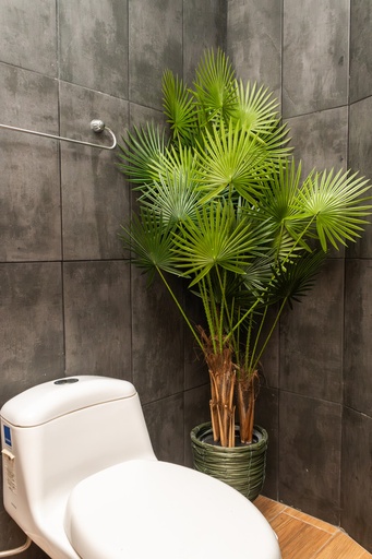 [IV-0106] PLANTA ARTIFICIAL, 1,30 MTS, ABANICO CHINO