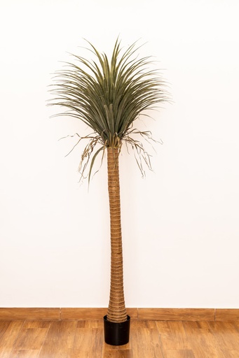 [IV-0107] PLANTA ARTIFICIAL, 2 MTS, DRACAENA MARGINATA